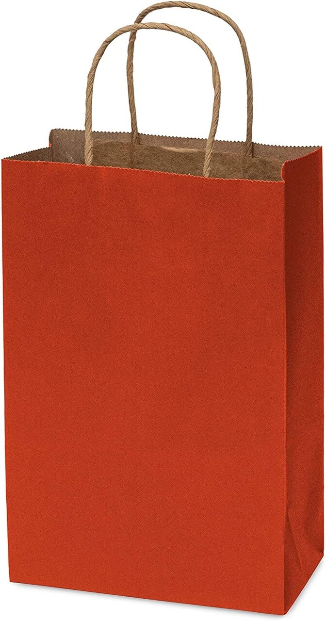 Packaging 6x3x9 100 Pack Mini Red Gift Bags with Handles, Christmas Kraft Paper Bags, Holiday Gift Wrap, Birthday, Seasonal, Shopping, Bulk